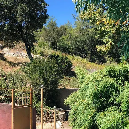 Tatil Evi Jolie Annexe Du Mas Dans Le Coeur De La Garrigue Nimoise *