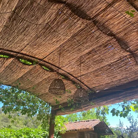 Jolie Annexe Du Mas Dans Le Coeur De La Garrigue Nimoise Ferienhaus